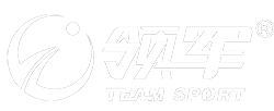 官方网站